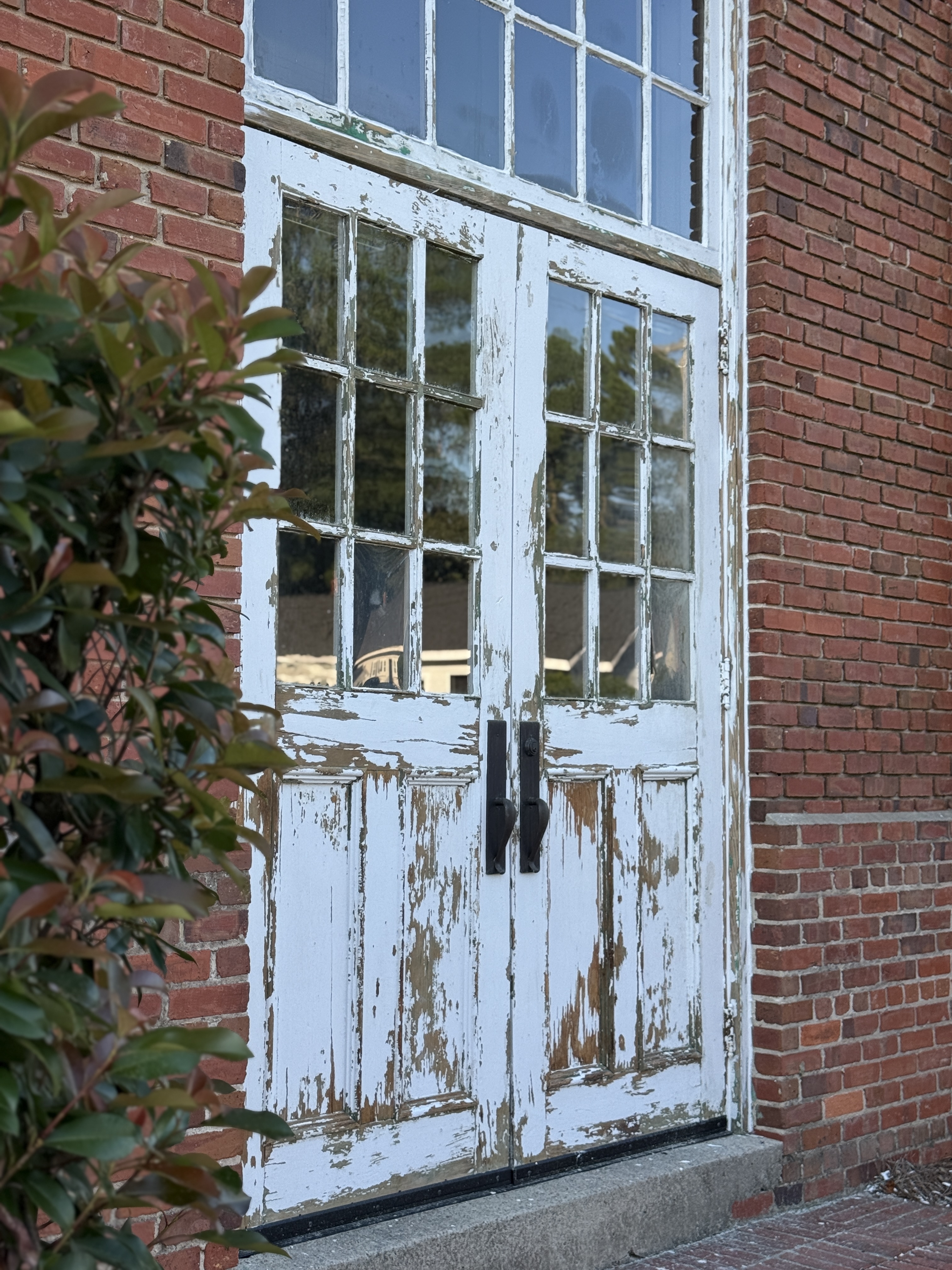 IMG 7045