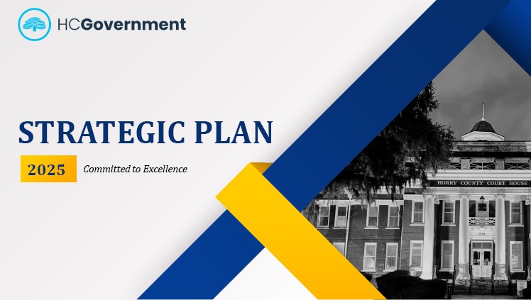 Strategic Plan 2025