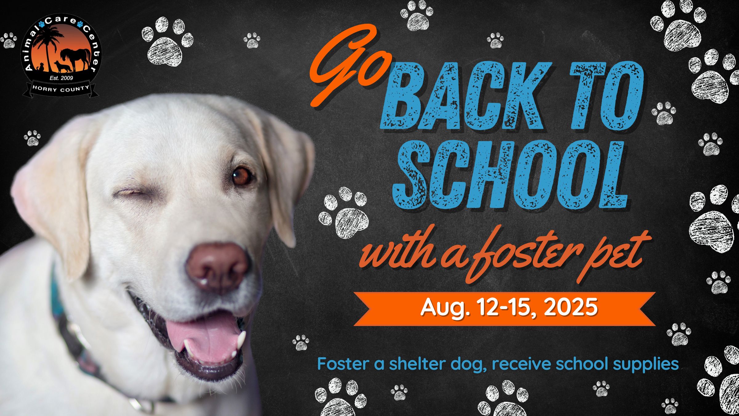 ACC Adoption Events 2025 (5)