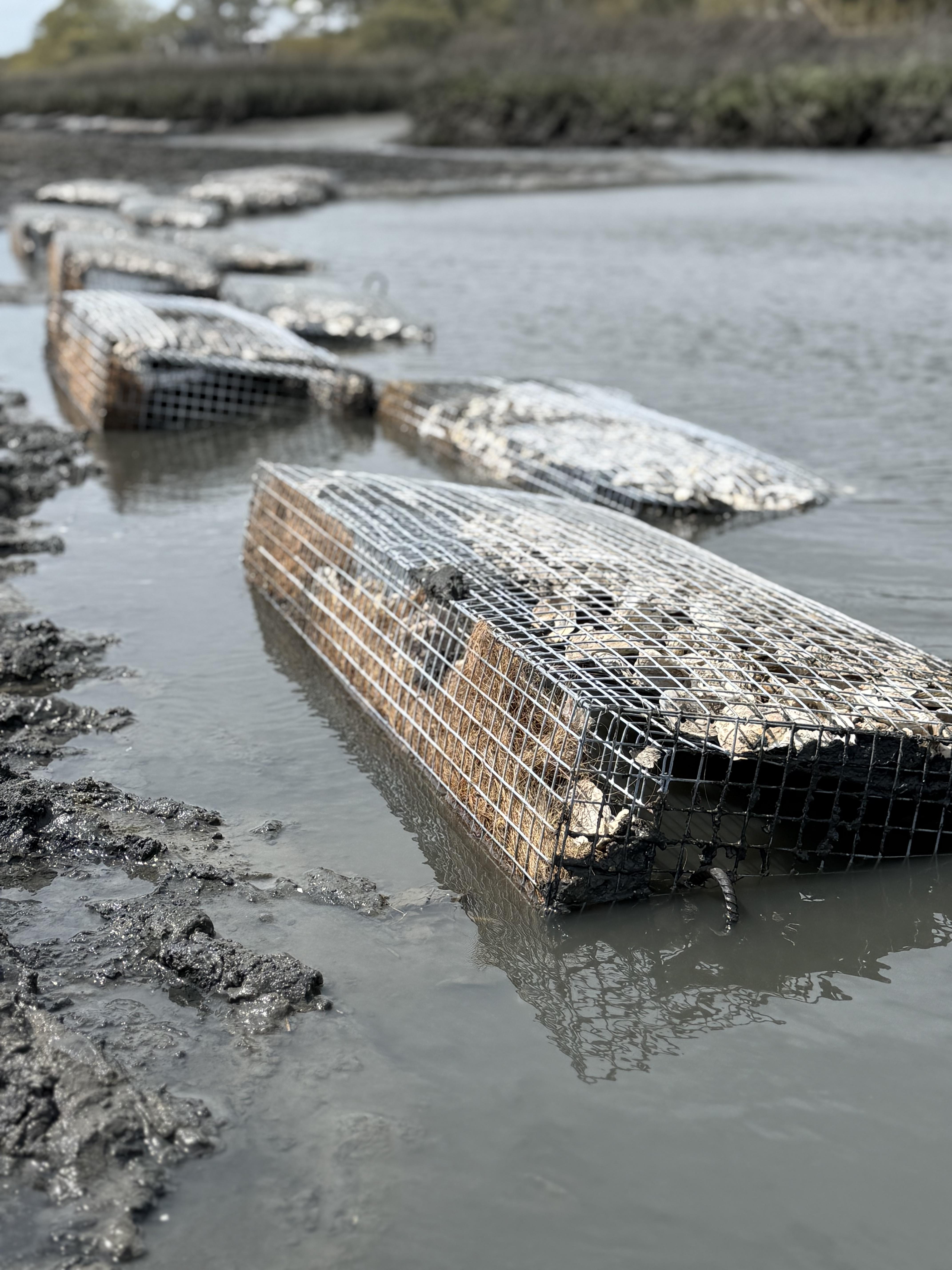 Submerged Basket