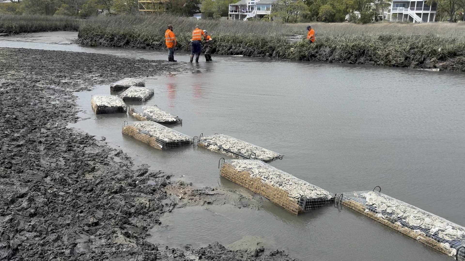 IMG 2704 202504071320053