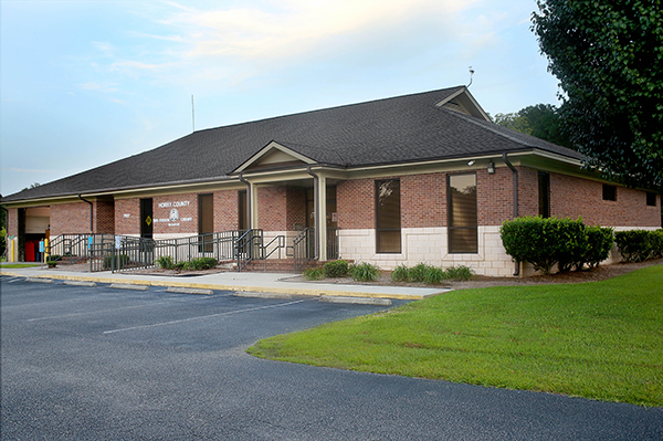 Bucksport Library