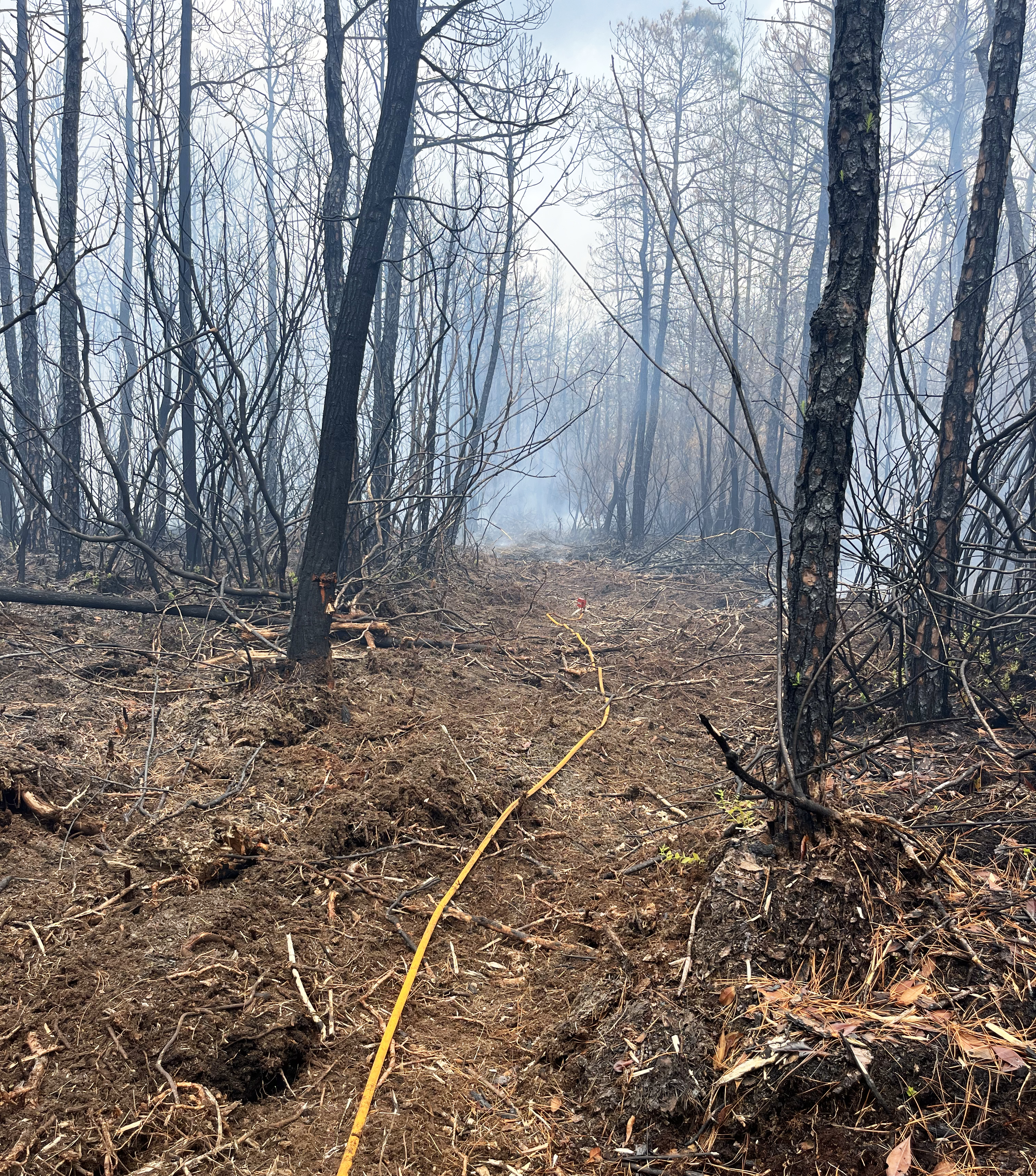Carolina Forest-area wildfire.
