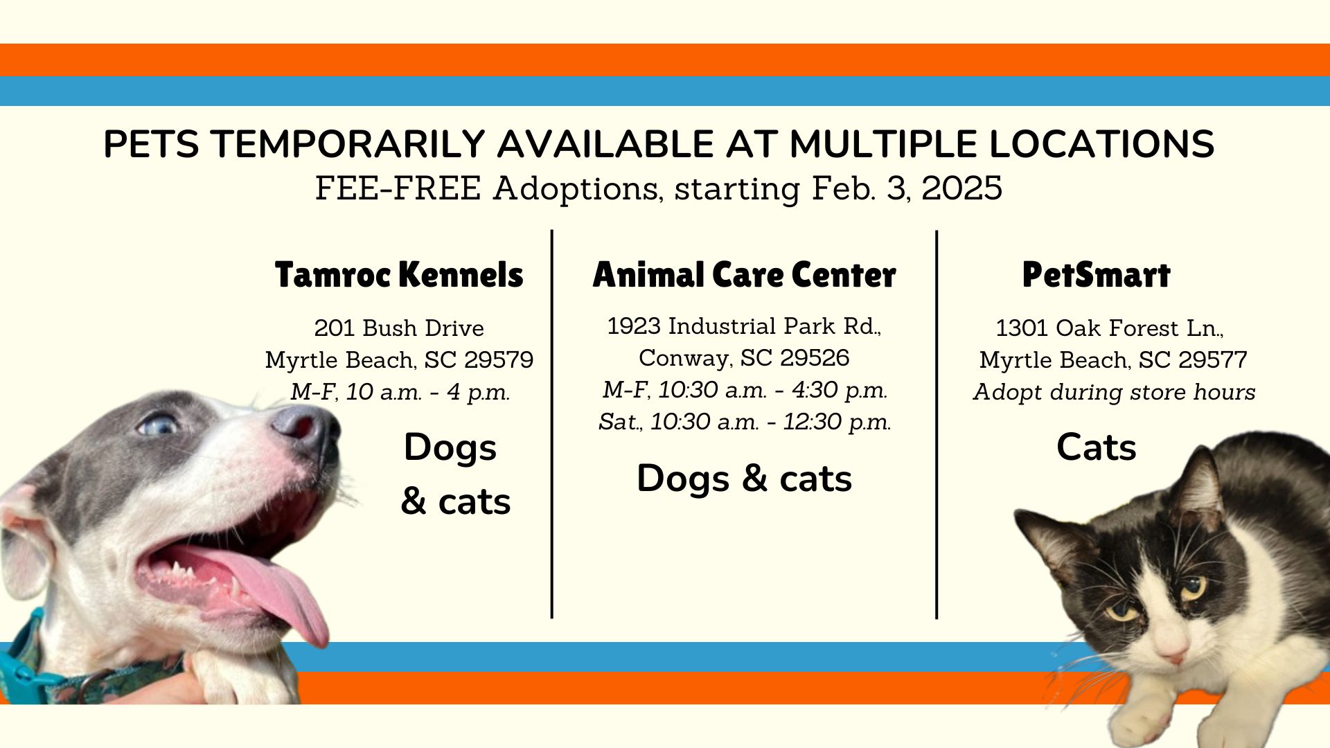 ACC Pet Birthdays