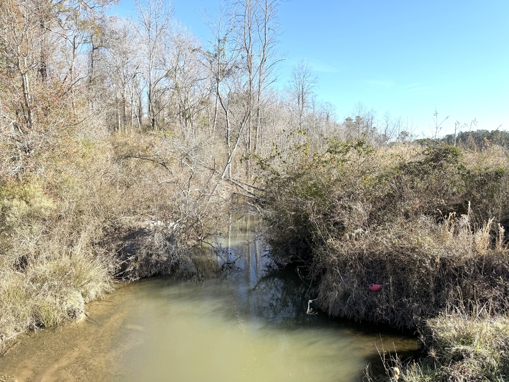 SW Project Brunson Watershed 5