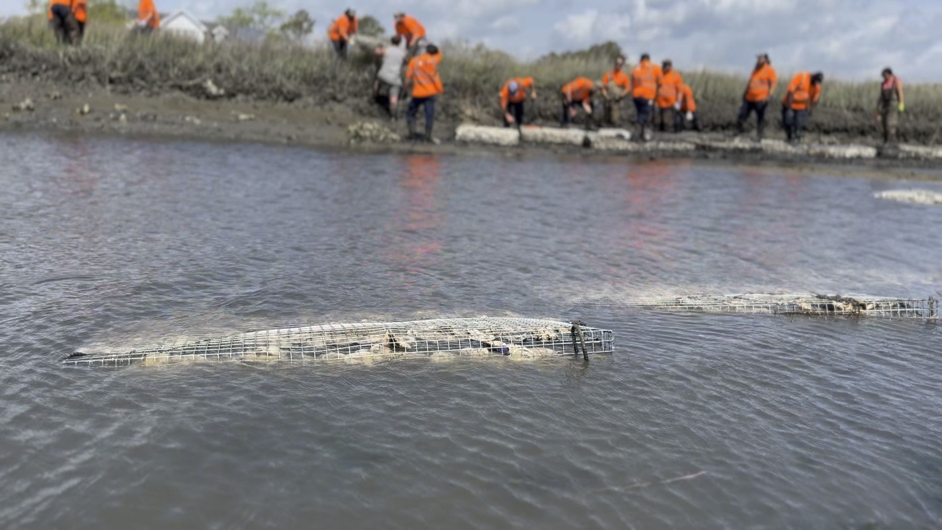 IMG 2707 202504071157025