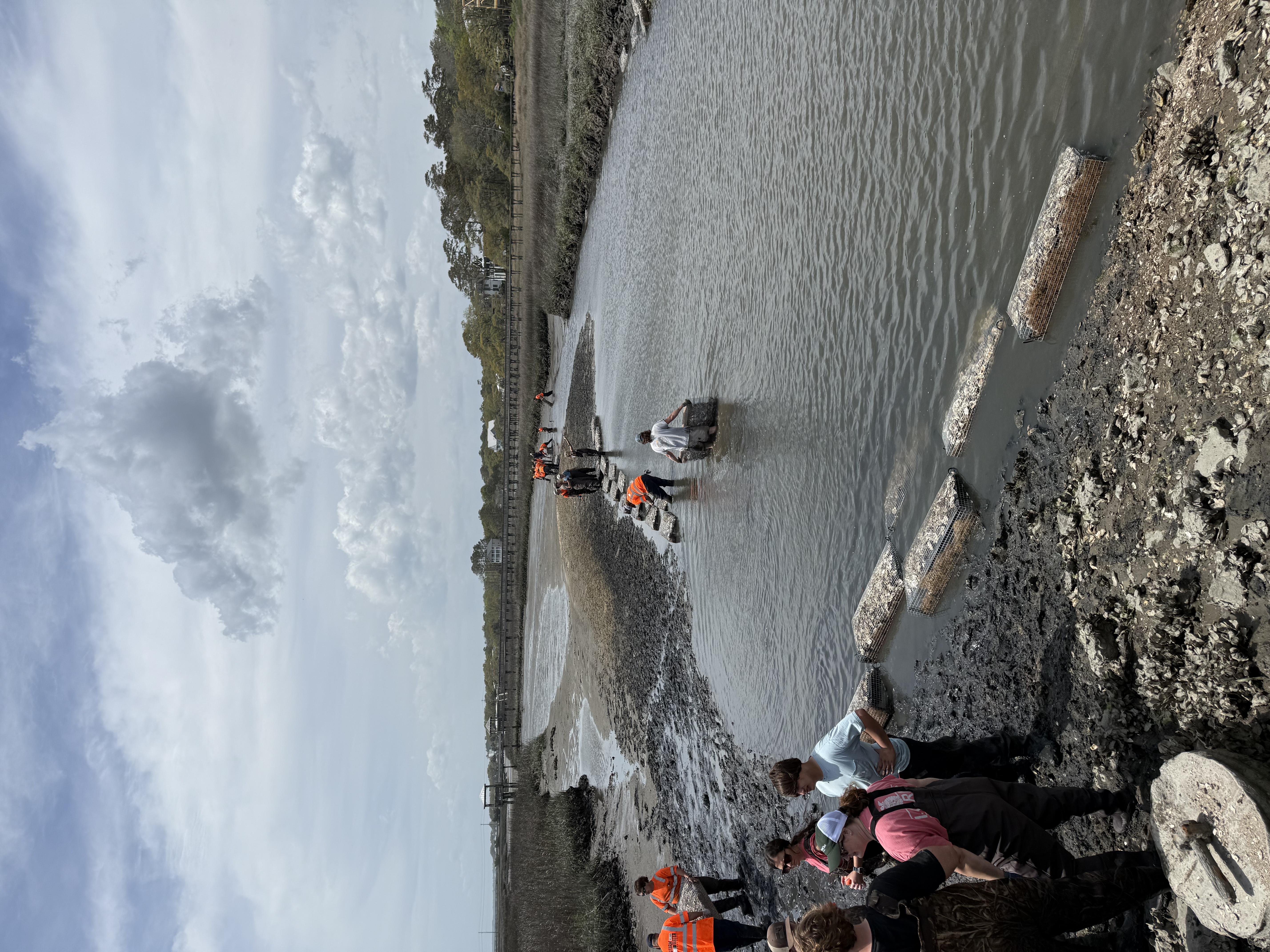 Reef From A Distance