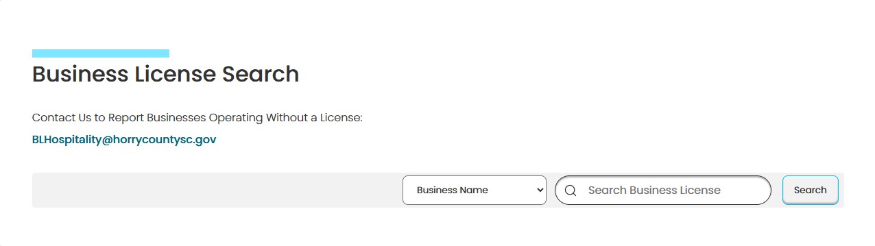 Business License Search Tool