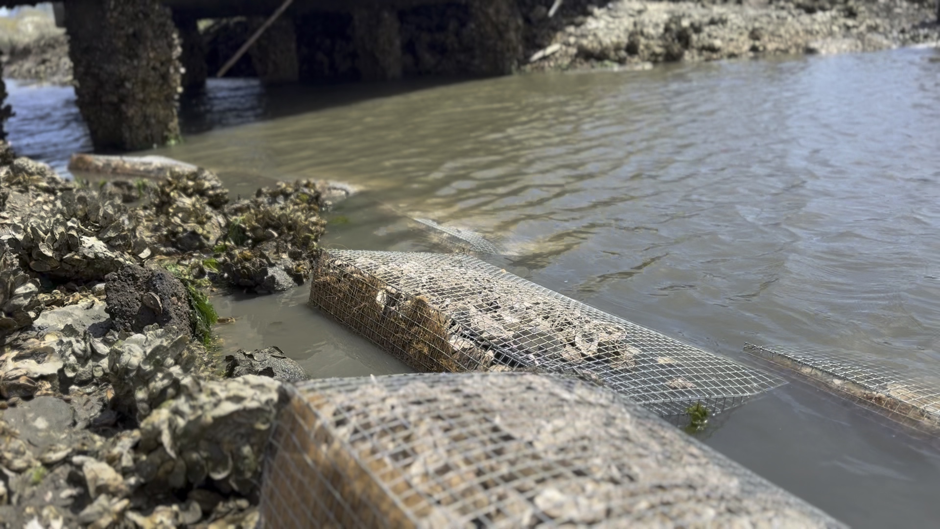 IMG 2705 202504071255036