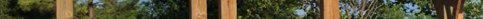 516735709 1183144797189687 4619767022163321280 N